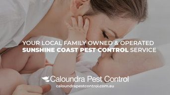 Caloundra Pest Control