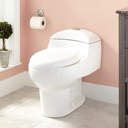 PALADINO DUAL-FLUSH ONE-PIECE ELONGATED TOILET - Toilets