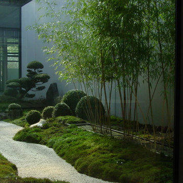 mossgarden in a patio