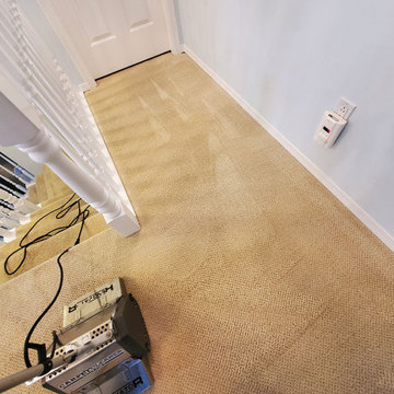 Hallway and Stairs Steam Cleaning With Dirt from Plants Drywall Dust and Constru