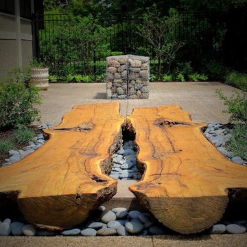 Twin Oaks - a modern landscape repurposing a 100 year old Oak tree