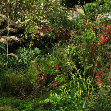 Back Garden N4