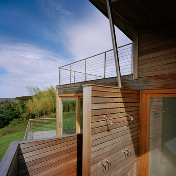 Fallen Leaves House