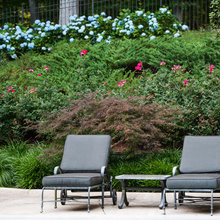 Back Hill Landscaping