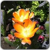 Foto von Joy Hadley