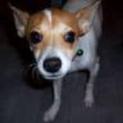 Amber Moreno's photo