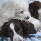 Sherry Hillier's photo