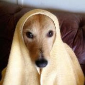 Simon Franglen's photo