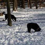 Clarisse Connor's photo