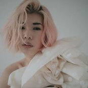 NC Wong's photo