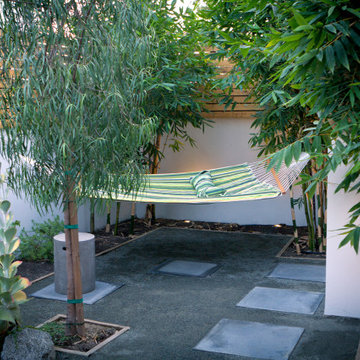 Mara Vista Contemporary and Soft