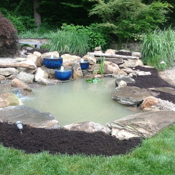 Ecosystem Ponds