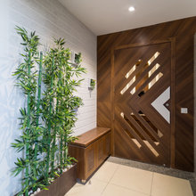 Main Entry gate of flat