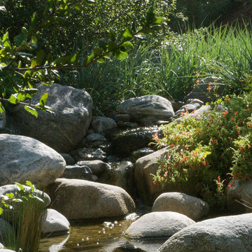 2017 Native Plant Garden Tour