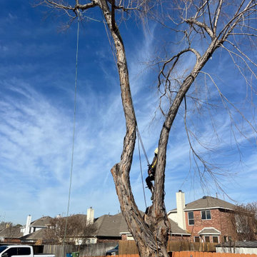 Tree Trimming and Weight Reduction