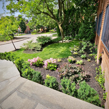 Minimalist Front Garden Preserving Mature Trees and Shrubs
