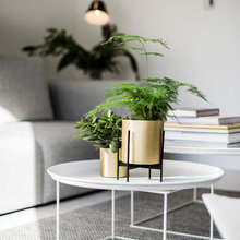 Stue interiorinspirasjon