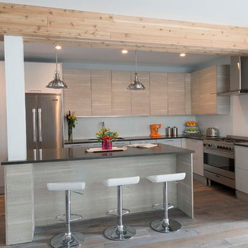 Chicago House Remodel: From Traditional to Contemporary