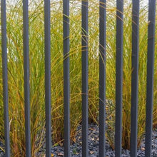 Front yard fence