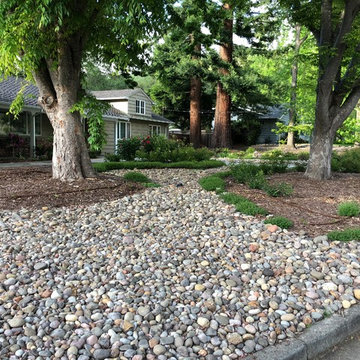 Front Yard Slow and Patient Remodel
