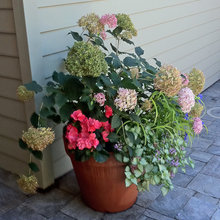 flower pots