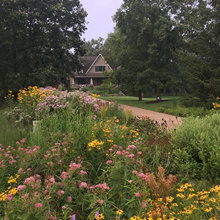Cottage Garden Landscape