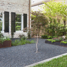 Backyard 2020