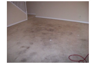 Townhouse rental carpet cleaning.