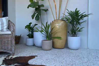 Design ideas for a contemporary garden in Perth.