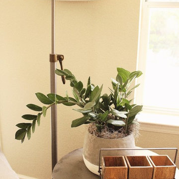 Poinsettia Project