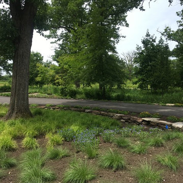 AFTER: Front plantings facing west