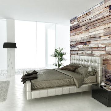 Our Work