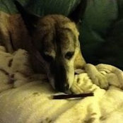 April Schneider's photo
