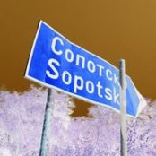 Vlatko Delovski's photo