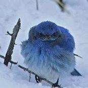 Debbie Smith's photo