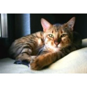 Joann Moore's photo