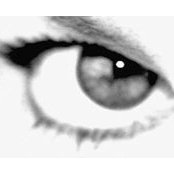 Dixie Lee's photo