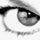 dixie_lee68