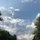 jessie_borsinger24