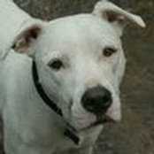 Lindsay Wigginton's photo