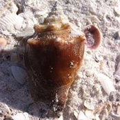 Terry Sampson's photo