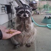 Valentina Berlanda's photo