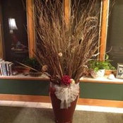 Gloria Kavanaugh's photo