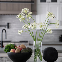 Contemporary Refresh - Plants
