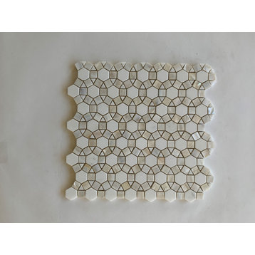 Bloom Thassos Waterjet Mosaic With White Shell