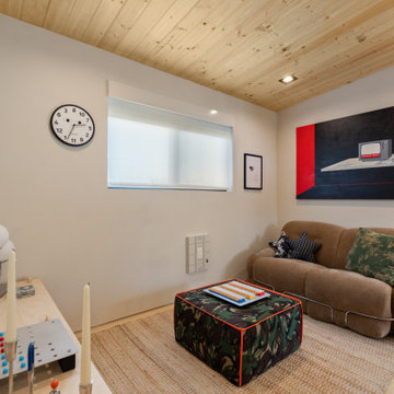 Modern ADU w/ Art Gallery & Rooftop Deck- NextGen Home Builders in Highland Park