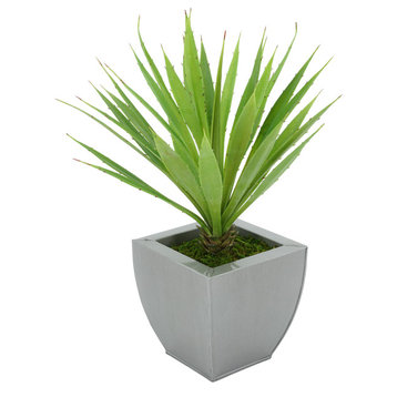 Faux Baby Yucca in Tapered Zinc Pot, Silver