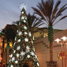 holiday lights