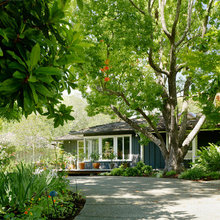 Landscape Ideas