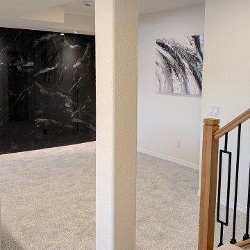 Modern Highlands Ranch Finished Basement by Brothers